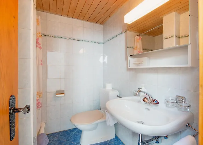 豪斯艾米娜酒店 采尔马特